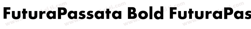FuturaPassata Bold FuturaPassata B字体转换